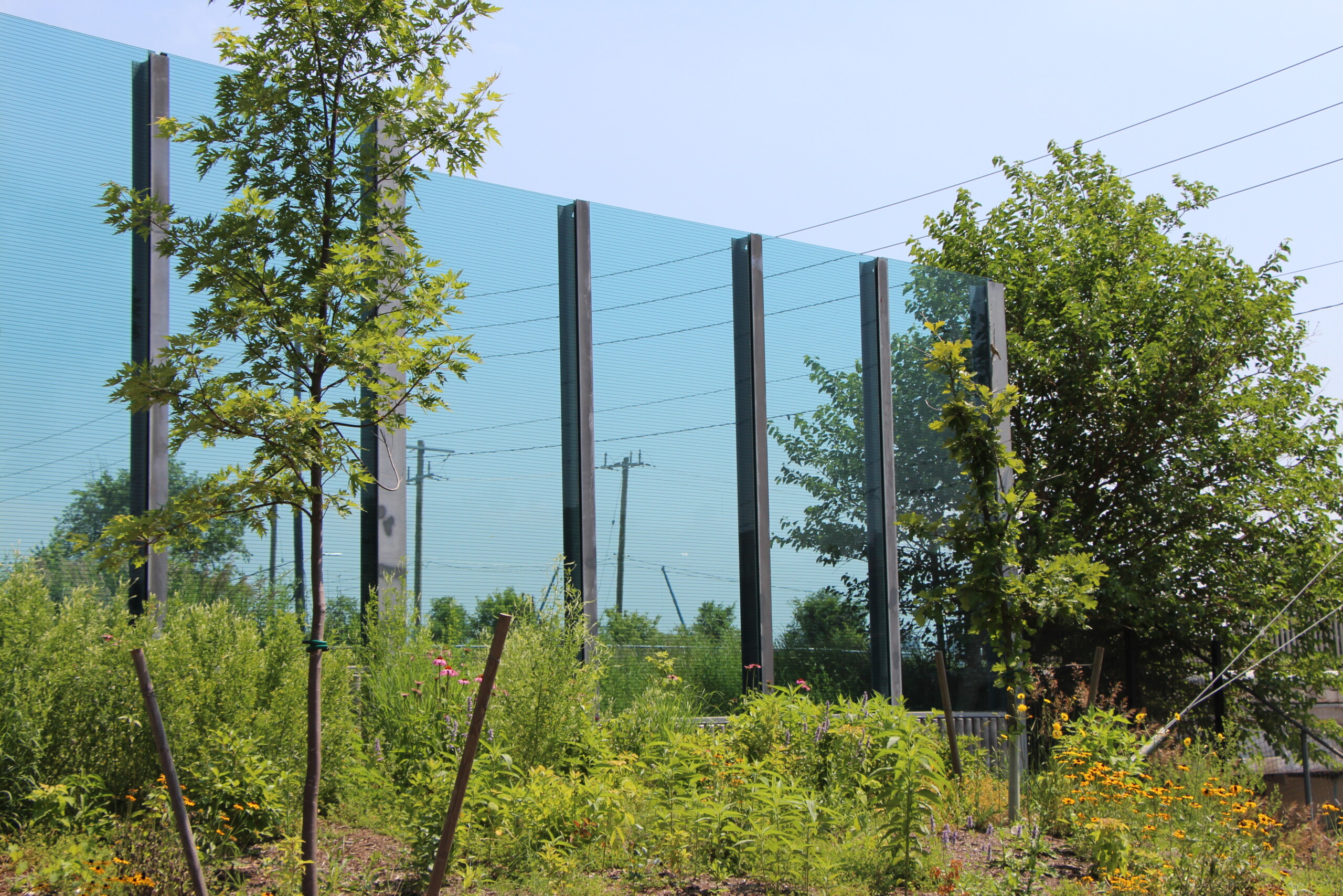 Transparent noise barrier panels with Bird Guard installed along Metrolinx's Union Pearson Express rail line in Toronto, ON.